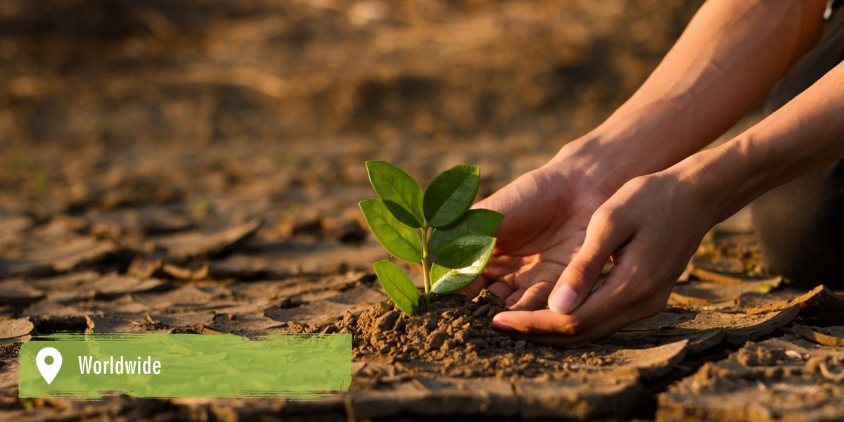 Climate solution biochar